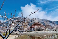 治区第一所高条理藏传释教分析性院校